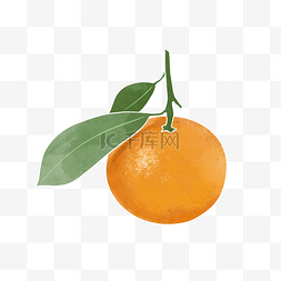 水彩秋季水果橘子