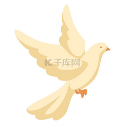 美和图片_白鸽的插图美丽的鸽子信仰和爱情