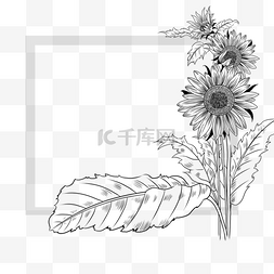 花朵装饰框图片_黑白线稿向日葵线条艺术相框装饰