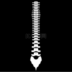 人体脊柱图标 .. 人体脊柱图标。