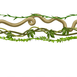 树葡萄树图片_扭曲的野生藤本植物无缝模式。