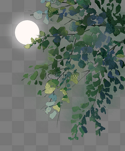 月亮夜晚树枝叶子绿叶