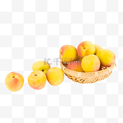 夏季杏白水杏杏子