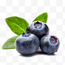 微距摄影小人图片_食品食物实物水果摄影蓝莓免抠元