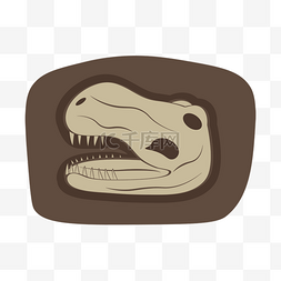 恐龙头骨卡通化石剪贴画
