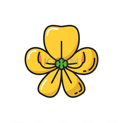 泰国花矢量图片_金色淋浴花决明子（）孤立的黄色