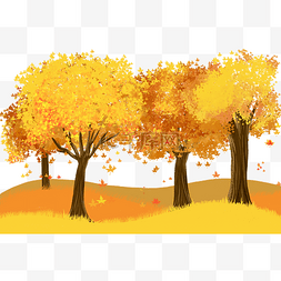 秋分节气飘落树叶秋天秋季树林植