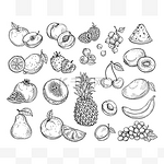 素描水果。草莓瓜，桃子芒果。香蕉菠萝，覆盆子葡萄手绘水果浆果矢量集
