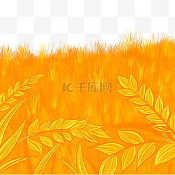 芒种节气金色小麦收获丰收秋天稻