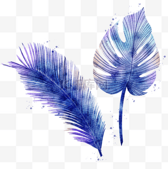 免抠元素蕨类植物蓝紫色水彩企业vip免费下载免抠元素水彩婚礼蓝紫色