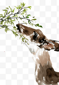 树叶野生动物图片_吃树叶的小鹿
