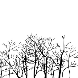 灰花图片_白色背景上的树木森林。
