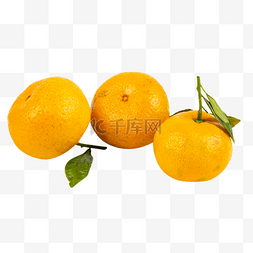 橘子糖糖图片_沙糖桔维生素水果