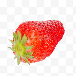 新鲜草莓采摘图片_新鲜水果大草莓