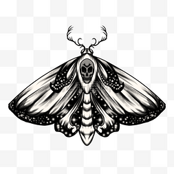飞蛾纹身翅膀带有星星和头骨图案