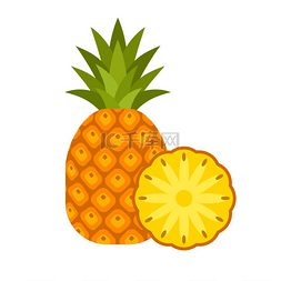 新鲜的菠萝水果图片_在被隔绝的白色背景上的菠萝。