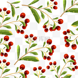 水彩枣树枝叶底纹红果植物