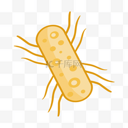 橙色简约形状卡通病毒细菌
