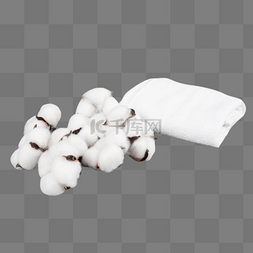 白色新疆棉棉花
