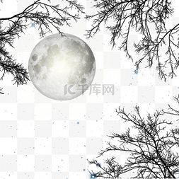 林间图片_树林间圆圆的月亮
