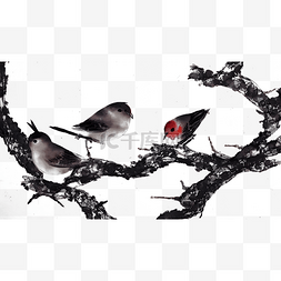 树枝与小鸟图片_树枝与小鸟