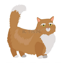 奇奇蒂蒂图片_Munchkin 猫矢量平面设计插画。