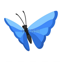 颜色鲜艳的蝴蝶图片_装饰蝴蝶的插图色彩鲜艳抽象昆虫