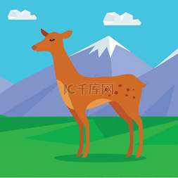 棕色可爱小鹿图片_山区草坪上的小鹿。