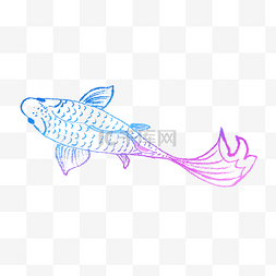 线描小金鱼