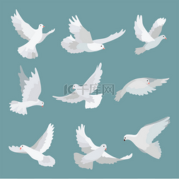 Set white doves peace isolated on background.