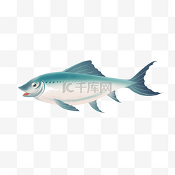青鱼草鱼图片_鲱鱼瑞典鱼类食物蓝色