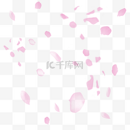 粉色鲜花花瓣