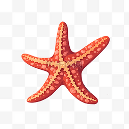 海星可爱图片_卡通海洋动物海星手绘