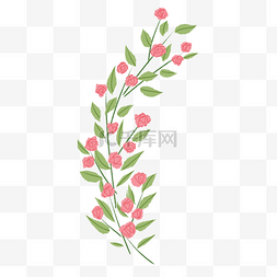 月季小厨图片_复古文艺花朵粉色蔷薇花花卉植物