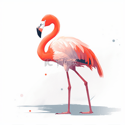 粉色创意手绘火烈鸟