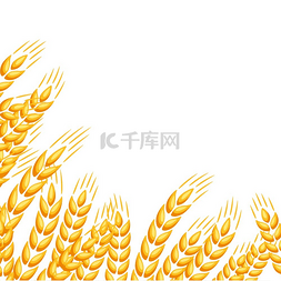 麦片背景图片_与小麦的背景。