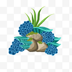 动物植物的插画图片_海绵海葵石头海底装饰插画
