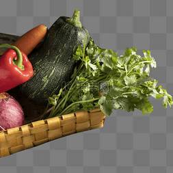 蔬菜伴侣图片_有机蔬菜
