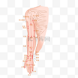 位图图片_上肢内侧穴位图