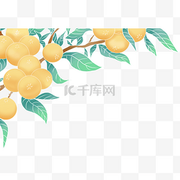 初夏psd素材图片_小满初夏黄色芒种枇杷描金