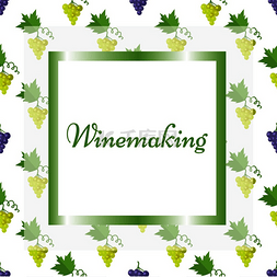 葡萄和叶子图片_带有方形框架中孤立符号的酿酒海