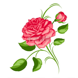 现实的玫瑰图片_与红玫瑰的装饰元素。
