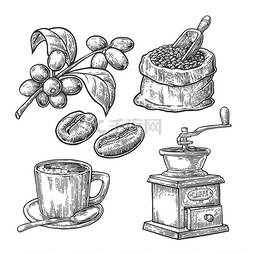 雕刻矢量图图片_踢毽子的咖啡豆与瓢和豆、 杯、 