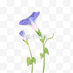 蓝色手绘花框图片_蓝色牵牛花水彩花朵花卉