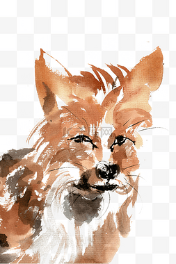 狡猾的狐狸水墨