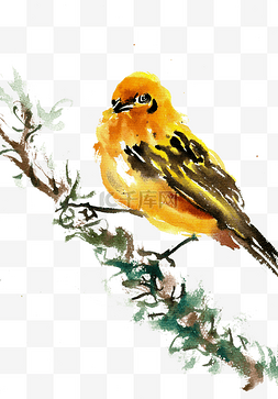 黄色的小鸟