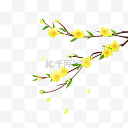 手绘水彩春天花朵图片_手绘黄色的报春花