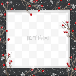 圣诞白色边框图片_白色雪花红色花瓣圣诞冬季植物边