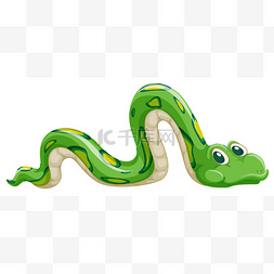 蛇蛇图片_蛇
