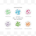 良好的和坏的细菌菌群图标设置隔离的白色背景。肠道 dysbiosis 概念医学例证与微生物.